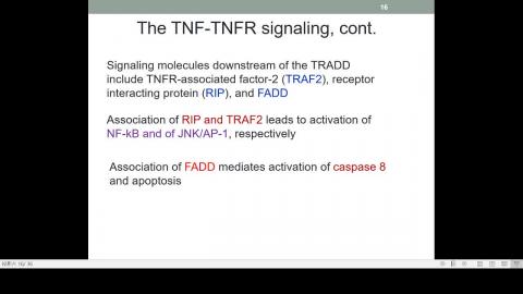 2020-11-20 11-12-13.mp4