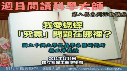 我愛蟋蟀『究竟』問題在哪裡?
