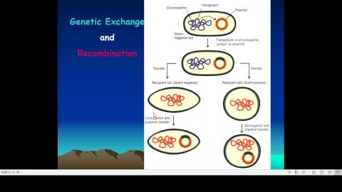 2020-11-24 13-05-18.mp4