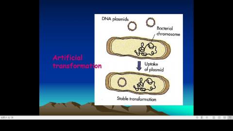 2020-11-24 14-11-02.mp4