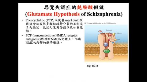 生理心理學 Ch16 Psychopathology (3) (2020-12-08,第3節)