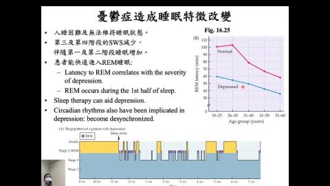 生理心理學 Ch16 Psychopathology (4) (2020-12-15,第1節)