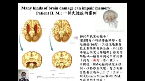 生理心理學 Ch17 Learning and Memory (3) (2020-12-22,第1節)