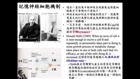 生理心理學 Ch17 Learning and Memory (5) (2020-12-22,第3節)
