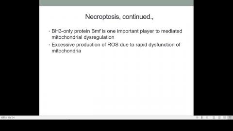 2020-12-21 14-15-43.mp4