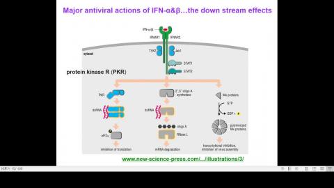 2020-12-02 14-20-50.mp4