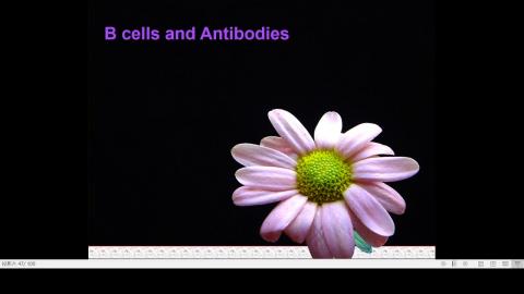 2020-12-02 15-35-01.mp4