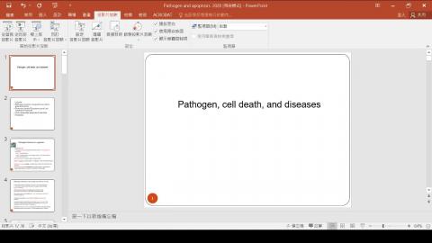 2020-12-25 10-29-16.mp4