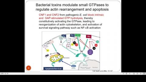 2020-12-25 11-09-49.mp4