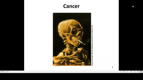 2020-12-23 13-10-03.mp4