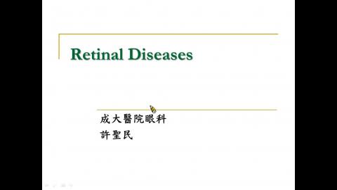 Retinal Diseases