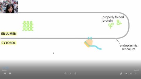 2021-01-27 16-36-38.mp4