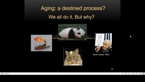 2021-02-26 11-25-41.mp4