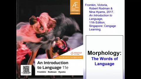 Chapter 2: Morphology-2