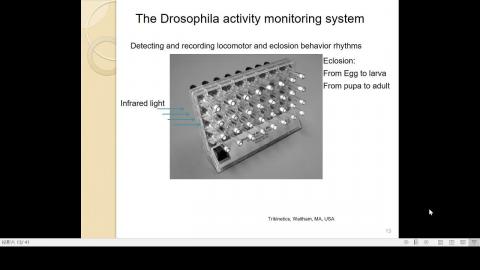 2021-03-12 11-11-06.mp4