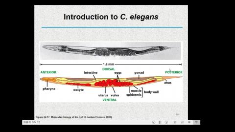 2021-03-19 11-11-20.mp4