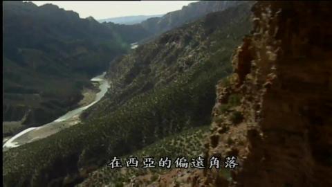 大腦演化 = The brain : our universe within-evolution