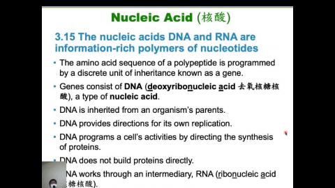 普通生物學 Ch 3 & 4 (2021-03-04,第3節)
