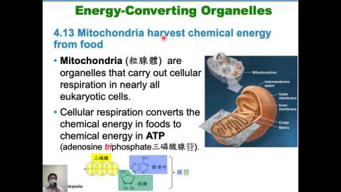 普通生物學 Ch 4 & 5 (2021-03-11,第1節)