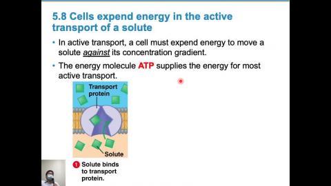 普通生物學 Ch 5 (2021-03-11,第2節)