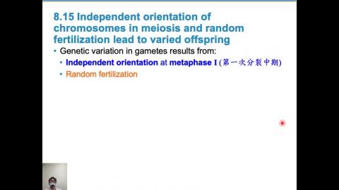 普通生物學 Ch 8 (2021-03-18,第3節)