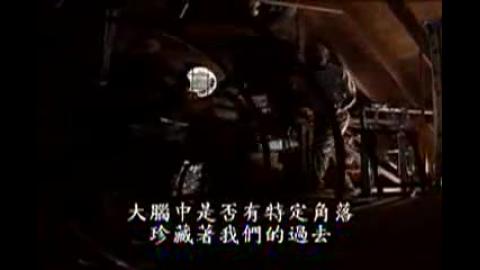 大腦與記憶 = The brain : our universe within memory