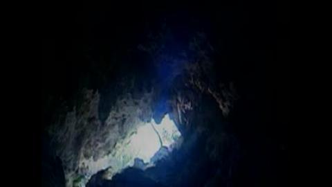 大腦與感官 = The brain our universe within : matter over mind