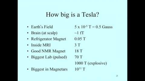 How big is a Tesla?