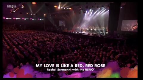 GRLE_A red red rose (reupload)