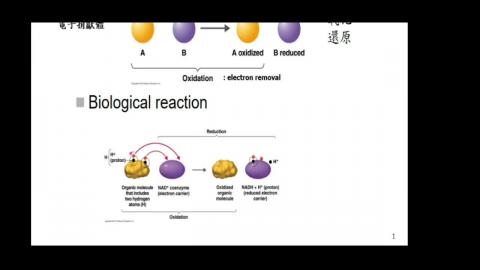 20210323 上課錄影.mp4