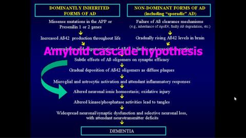 2021-04-30 11-20-27.mp4