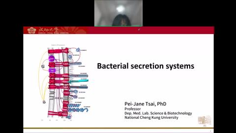 secretion system.mp4
