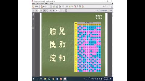 生育禮俗20210513.mp4