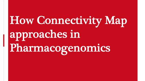 第十組-Connectivity Map.mp4