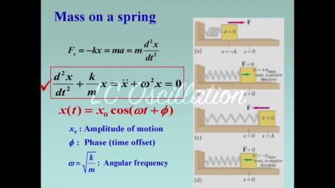 LC oscillation vs. SHM