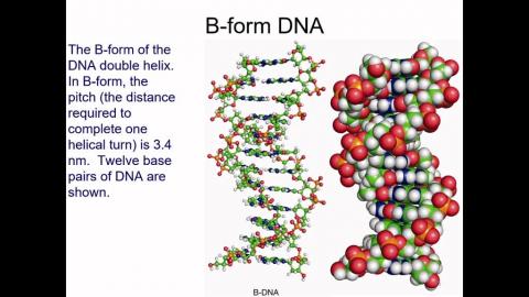 BioChem05192021-02.mp4