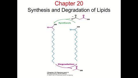 0519化學系生化(二)上課.mp4
