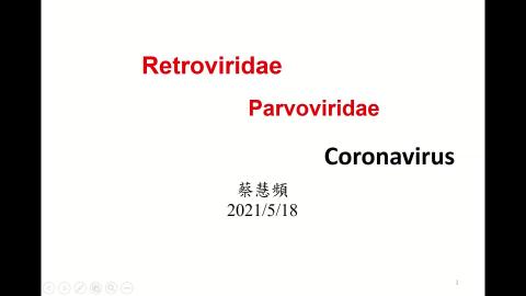 Retroviridae.mp4