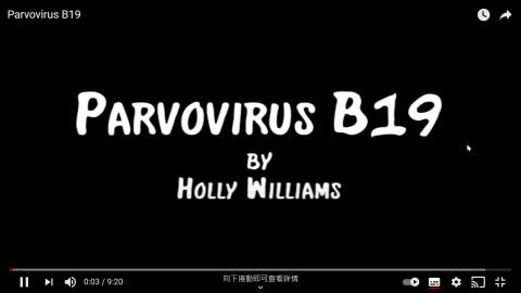 Parvovirus B19.mp4