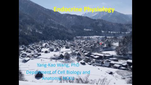 Endocrine-2nd edition.mp4