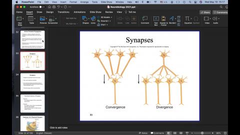 Neurobiology (3).mov