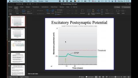 Neurobiology (4).mov