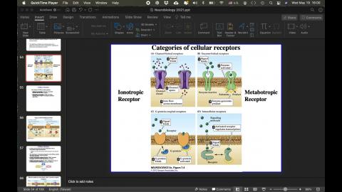 Neurobiology (5).mov
