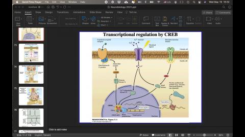 Neurobiology (6).mov