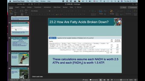 生物化學二 Ch23 video 2.mov