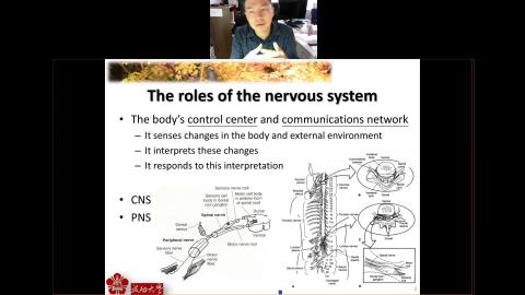 Biomechanics of soft tissue II 2021-05-19-15-13-30.mp4