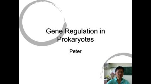 Prokaryotic Gene Regulation 2022 Online.mov
