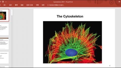 2021-05-21 11-26-51.mp4