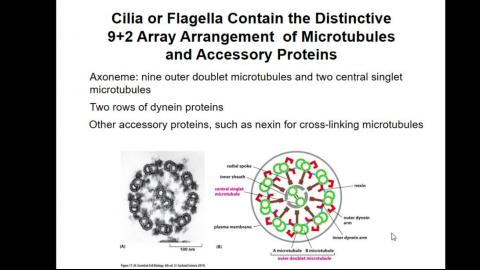 2021-05-21 12-18-44.mp4