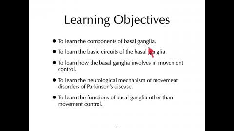 Basal Ganglia.mov